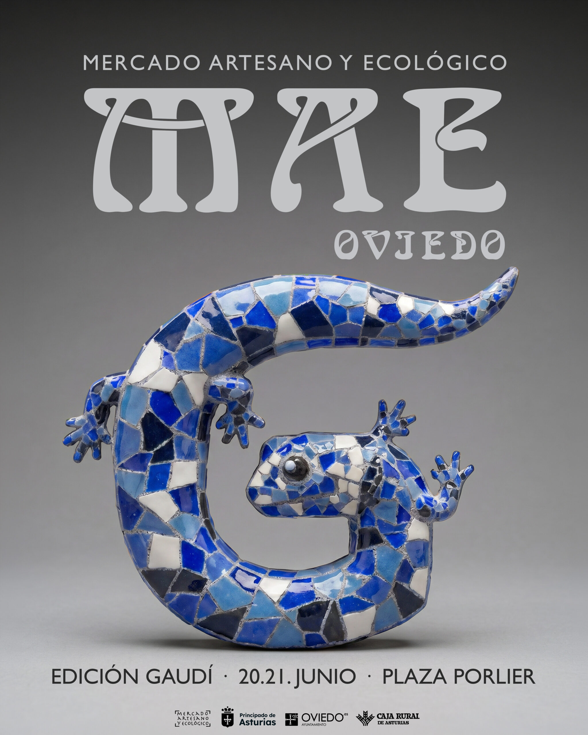 Mecado Artesano y Ecologico de Oviedo junio 26